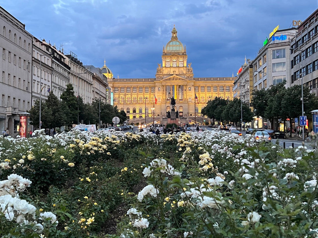 Wenceslas Square